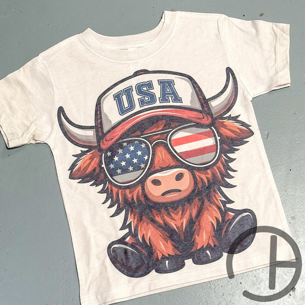 Usa Highland Cow Unisex Tee Shirt